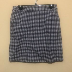 Blue and white checked skirt